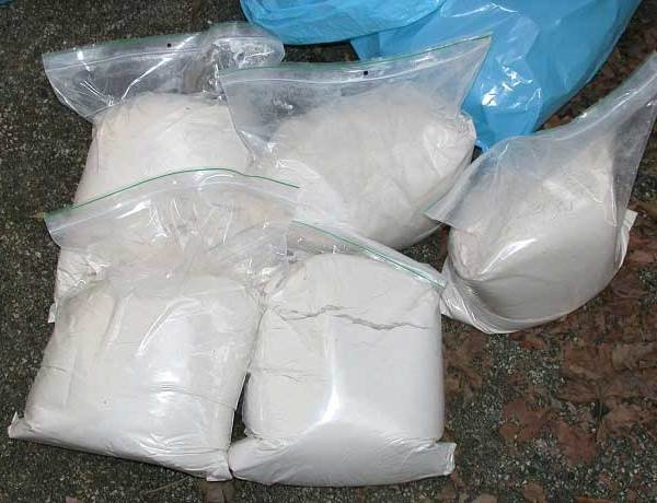 Universal Activation Powder